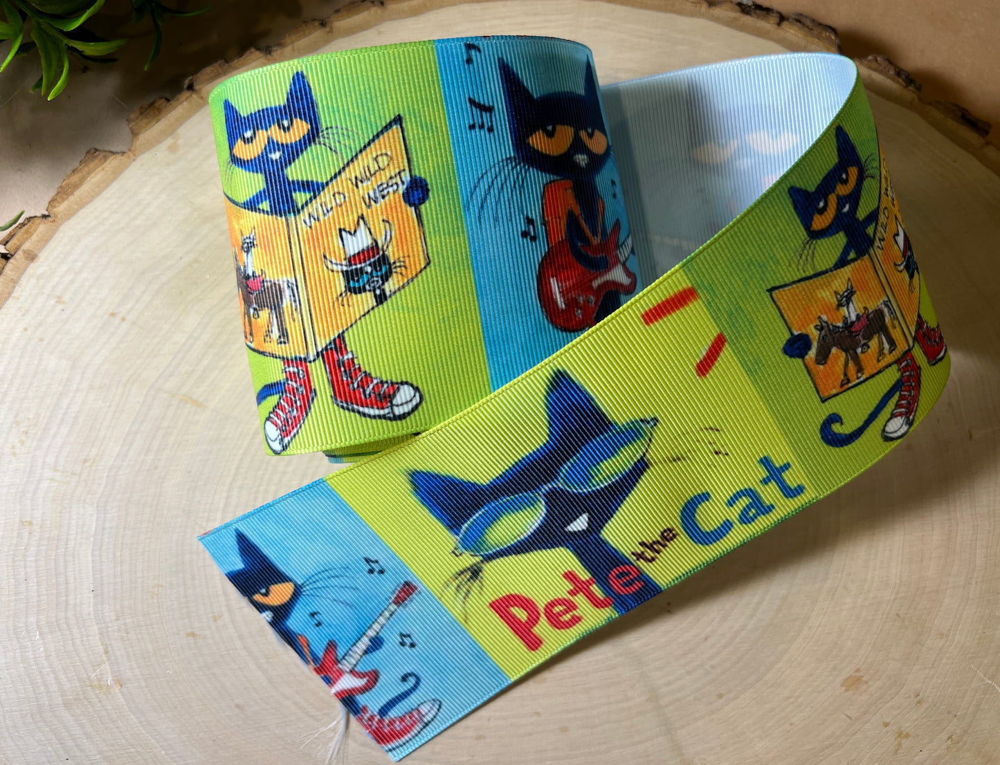 Pete the Cat Shaker Kit